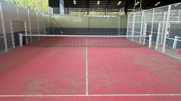 Pink Court