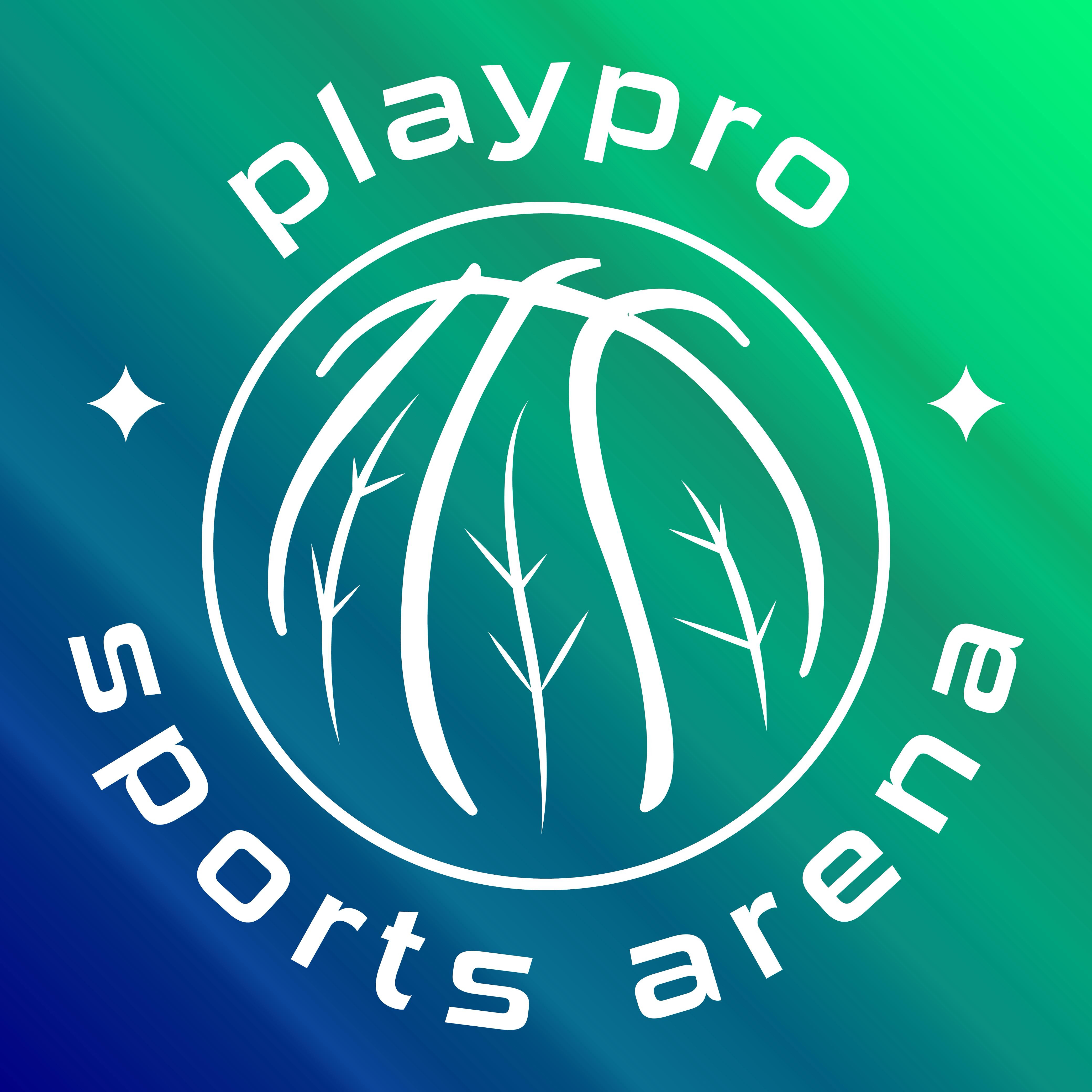 Playpro Sports Arena