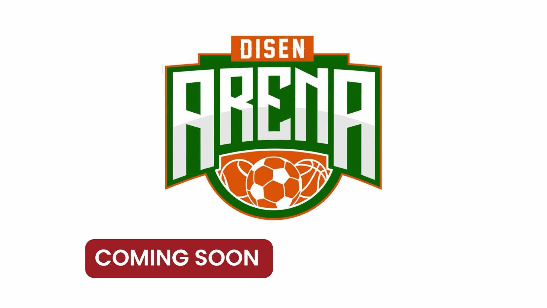 Disen Arena