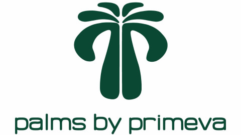 Palms By Primeva