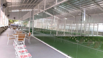 Spin House Padel Court - Bintaro Ciputat