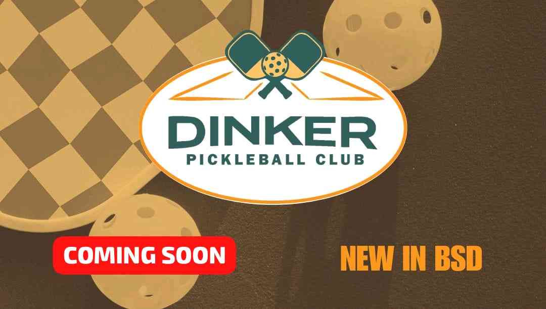 Dinker Pickleball Club - BSD