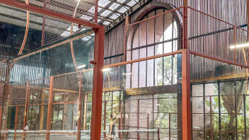 Padel Ground Sanctuary