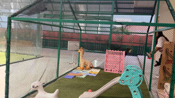 Q Padel House