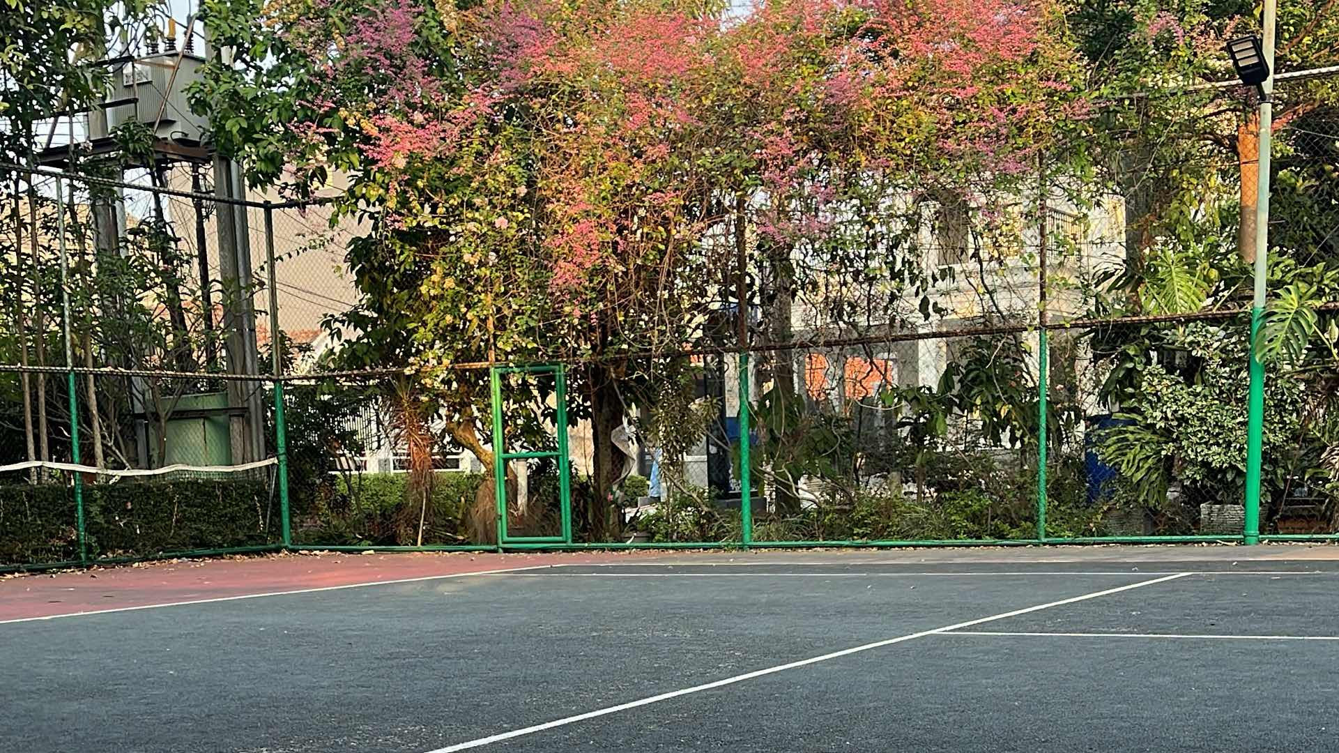 Lapangan Tenis Taman Raflesia