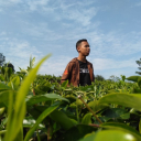 Zulfikri