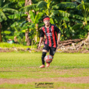 Arif