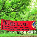 TIGER LAND