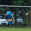 Stevy