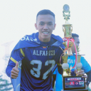 Alfarizi