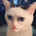 alvin