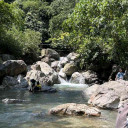 rendi