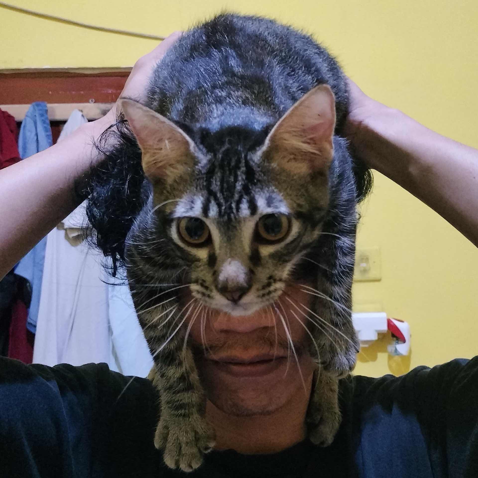 Persatuan Bulu Burung