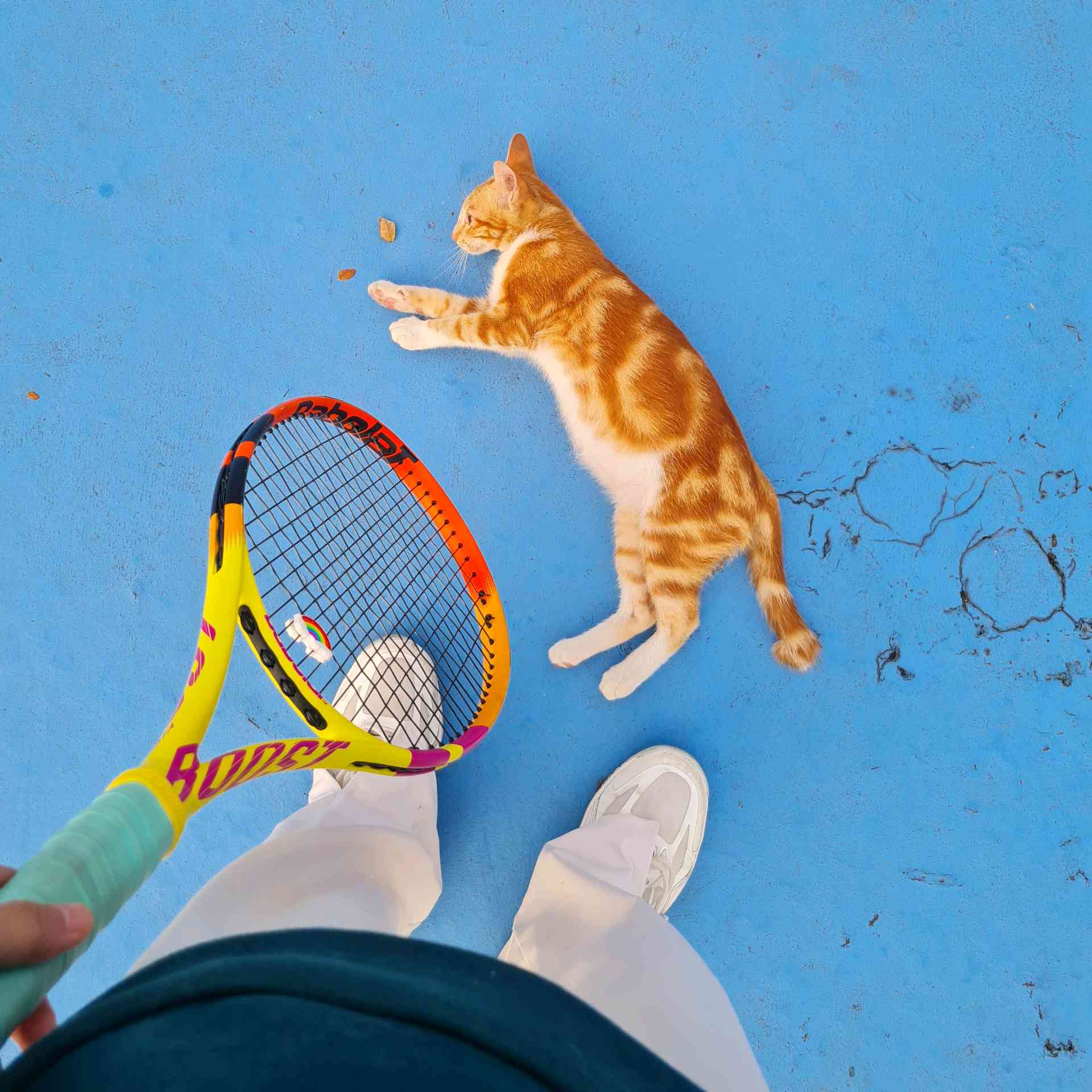 Belajar Tennis