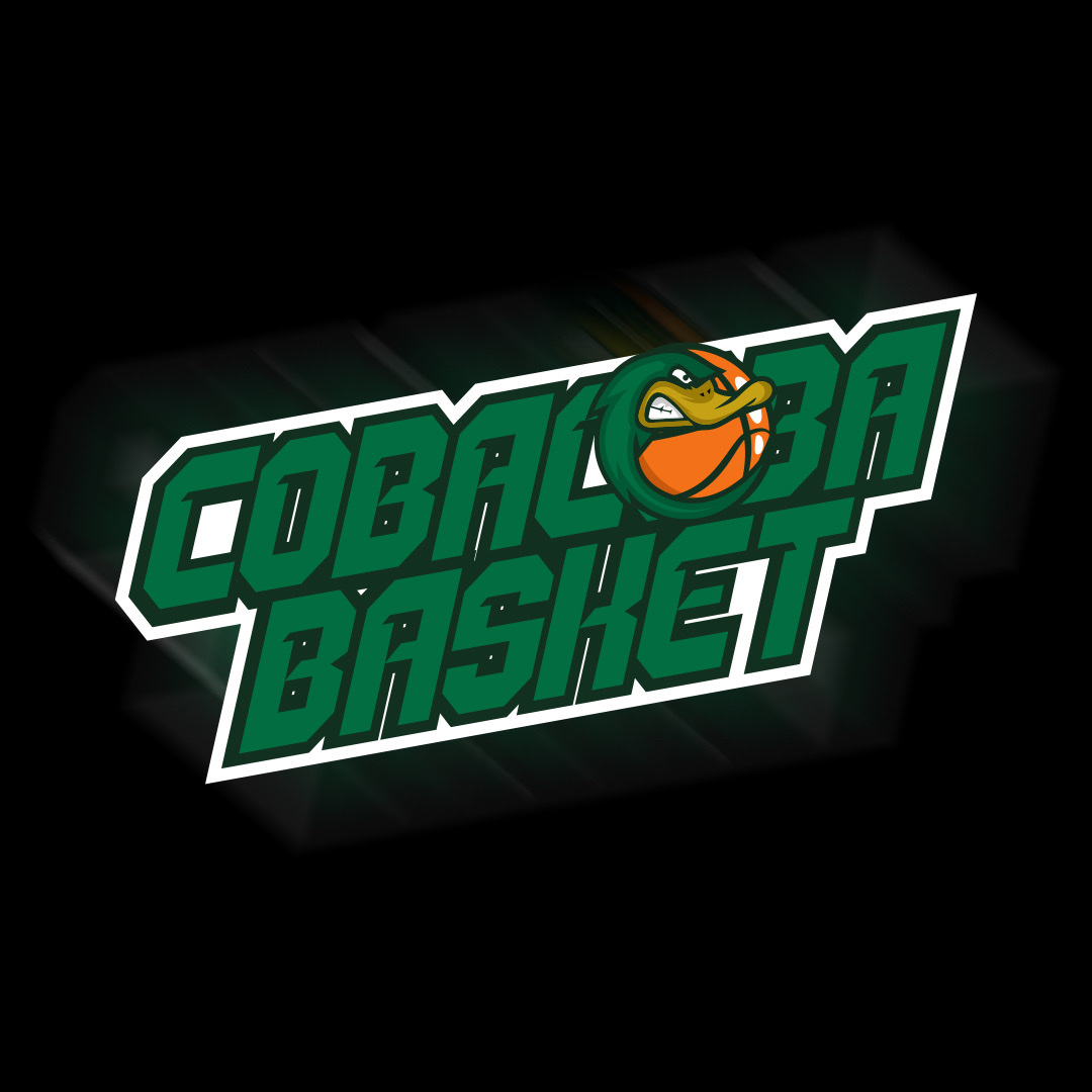 Team logo