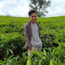 dimas aryshandi