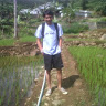 jhony firdaus