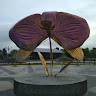 Nano Yulian