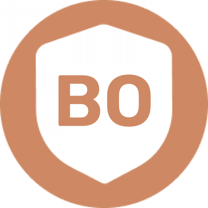 logo icon