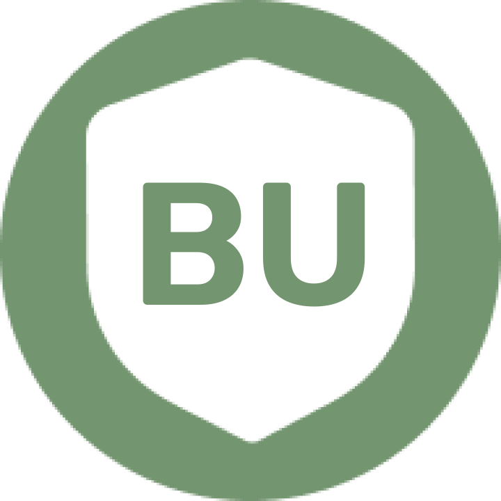 Bultang Universe
