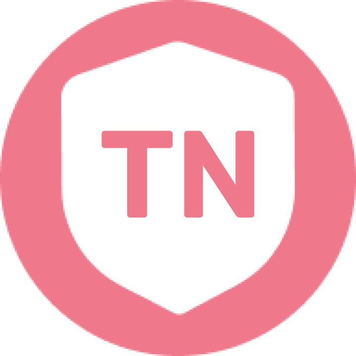 Logo the netcrackers