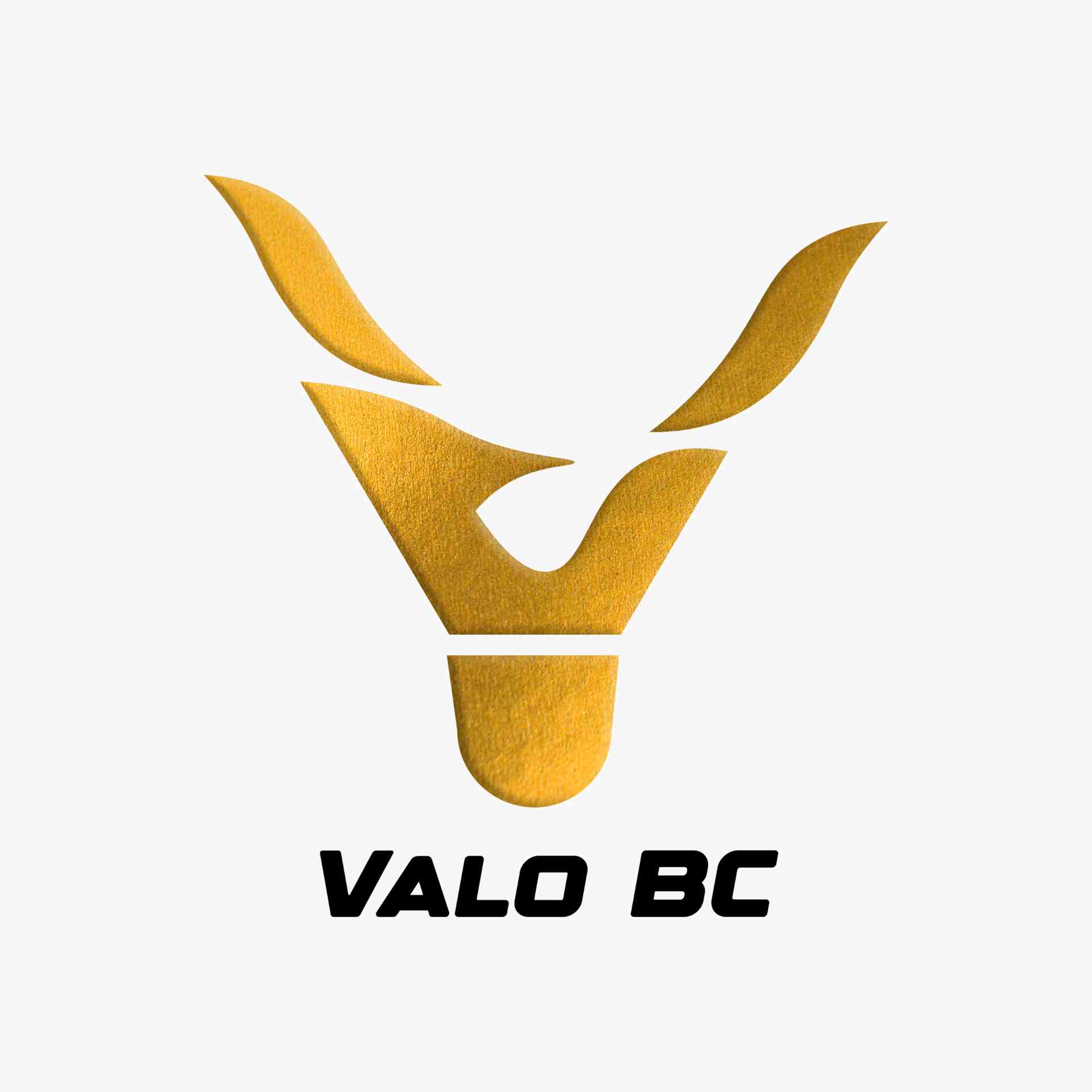 Valo BC