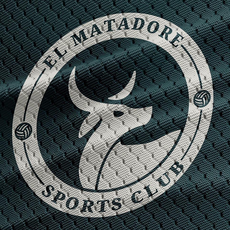 Team logo