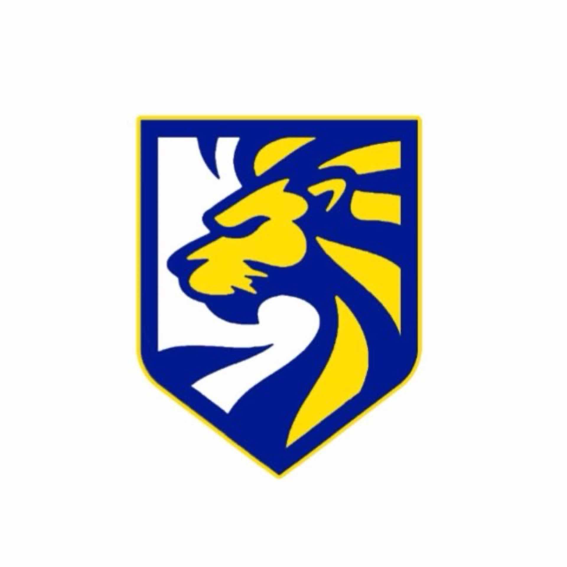 OSVALDINHO FC