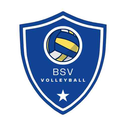Bsv