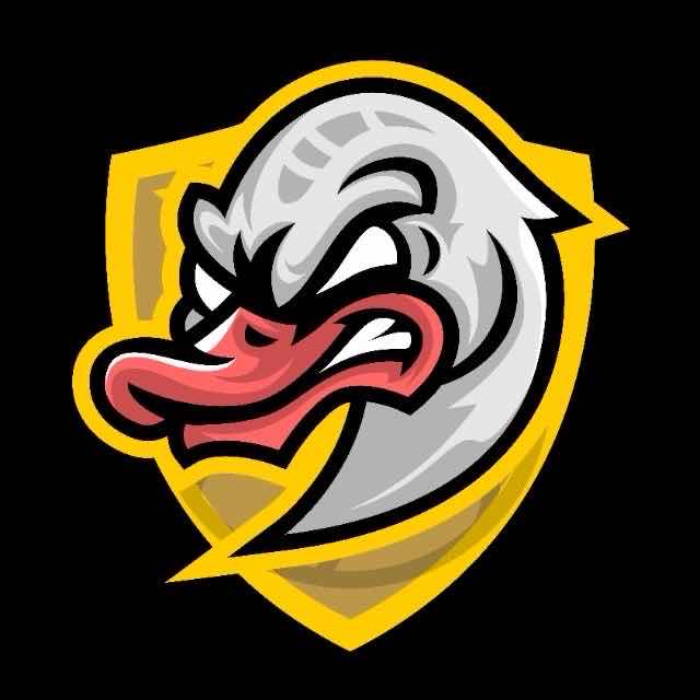 Superducks Basketball