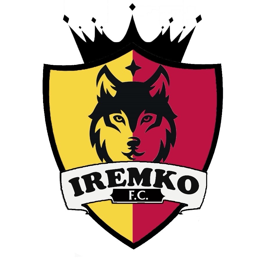 Team logo