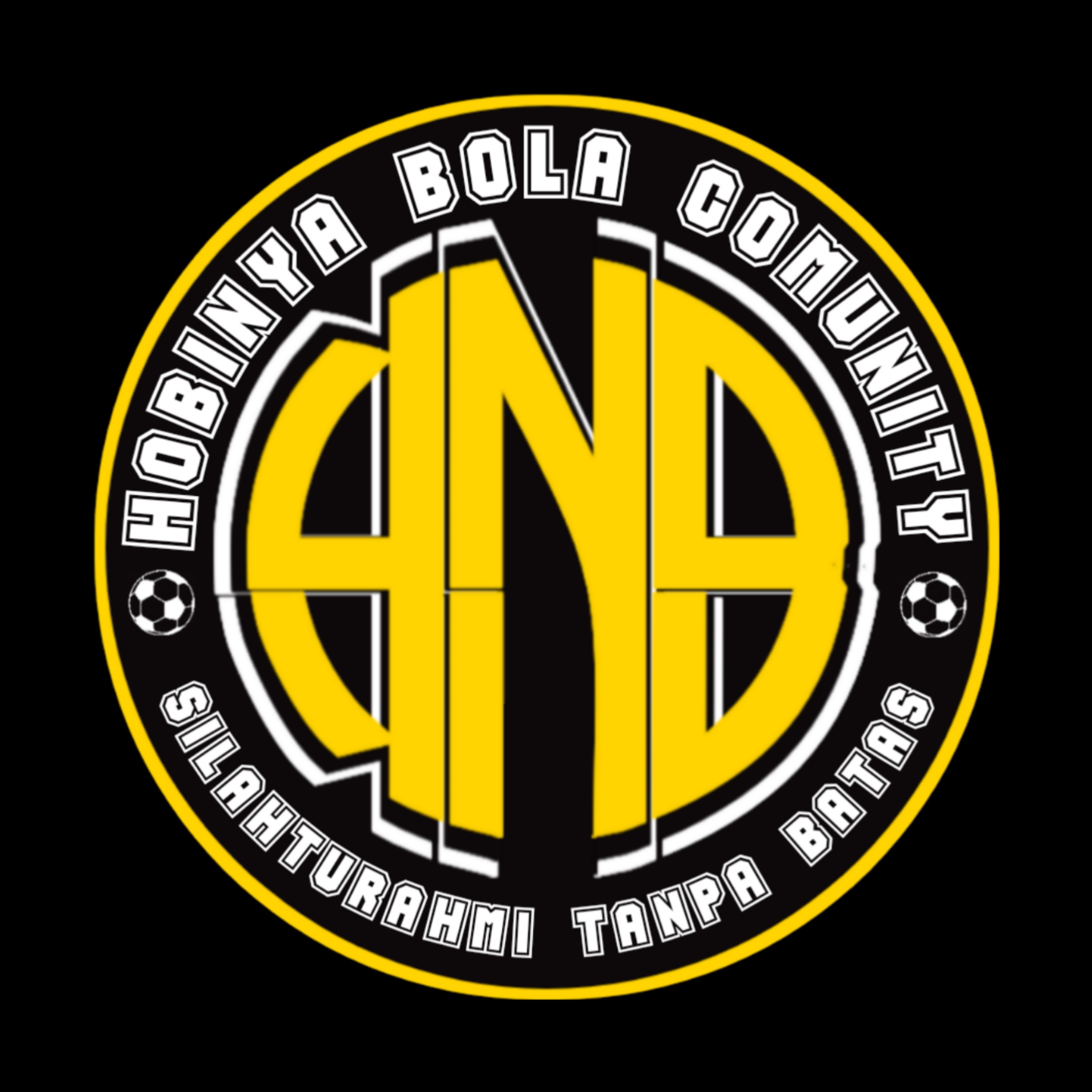 Team logo