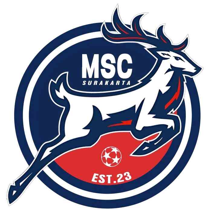 SOLO MINI SOCCER FUN CLUB