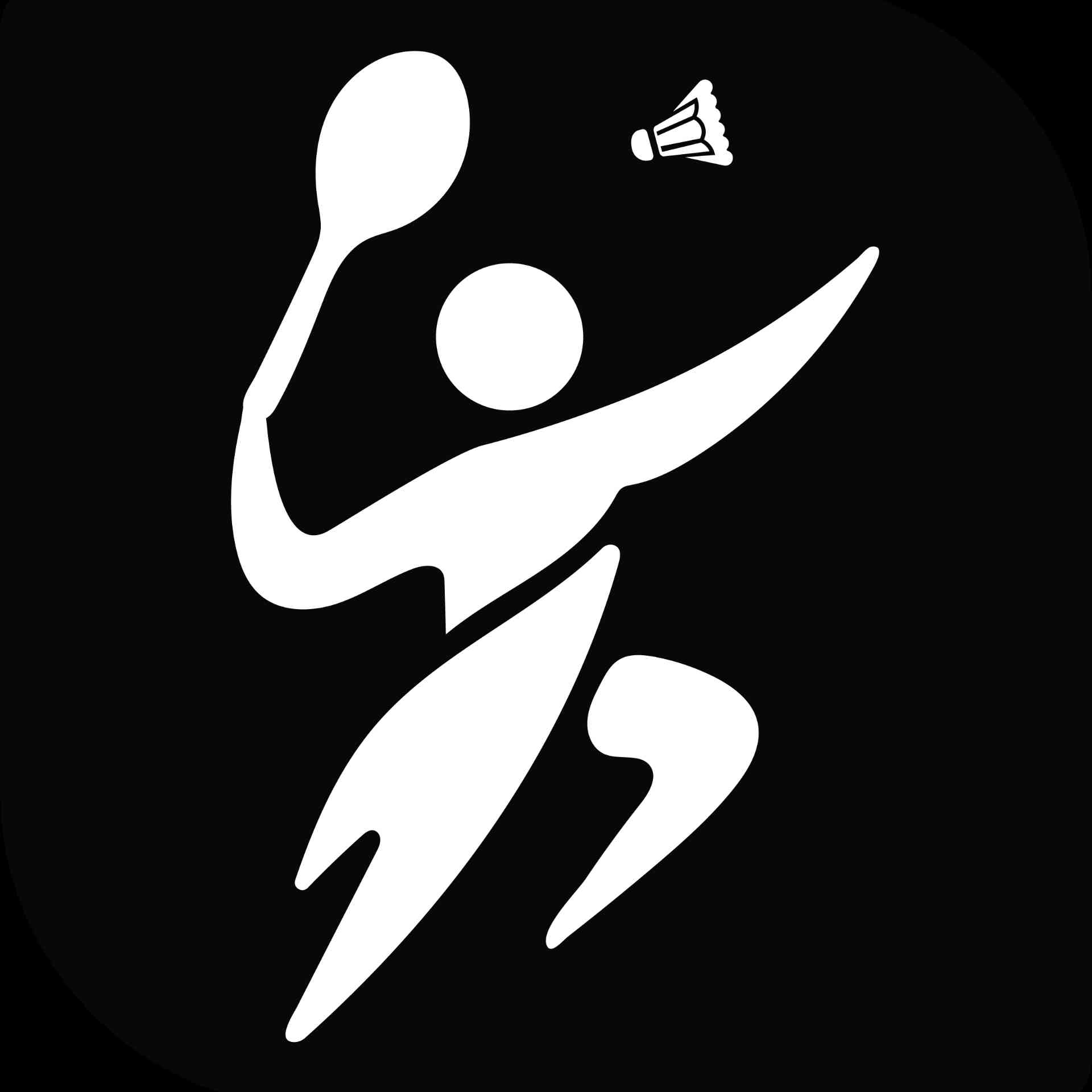 Logo PB Hayu Badminton