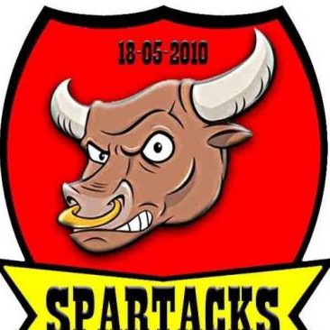 Team logo