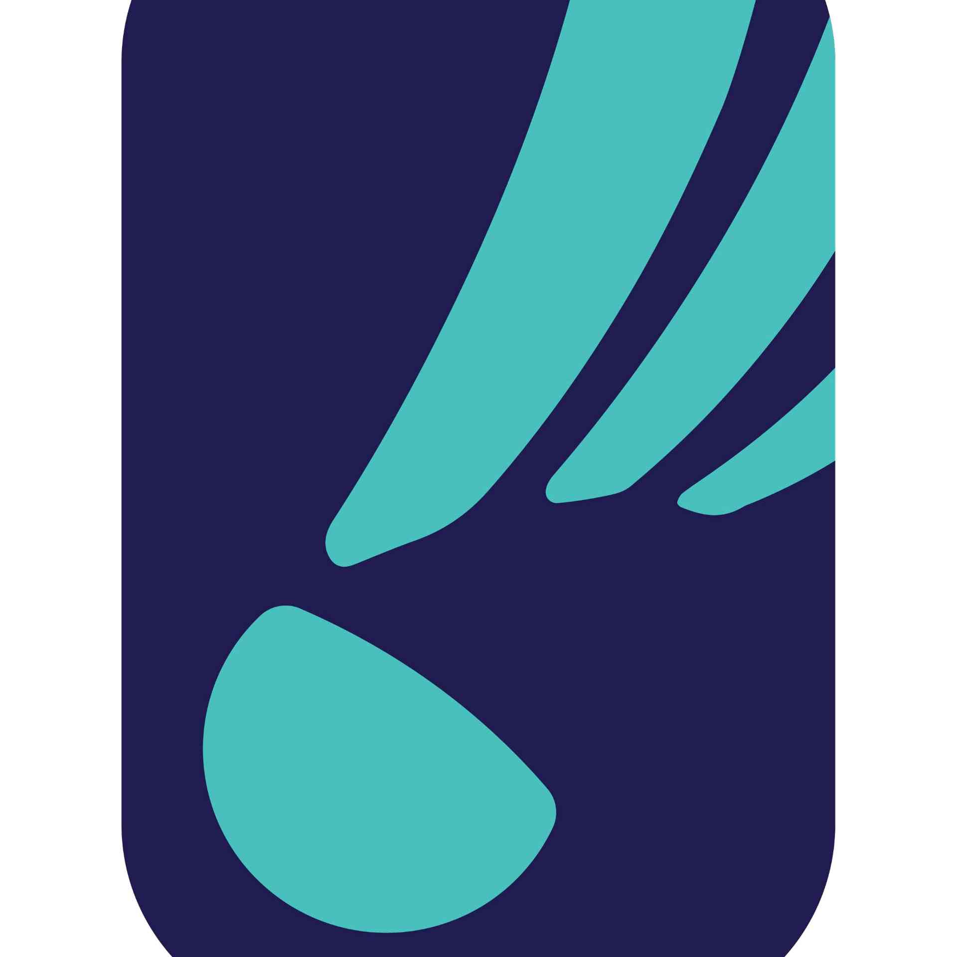 Badminton Beginner Friendly