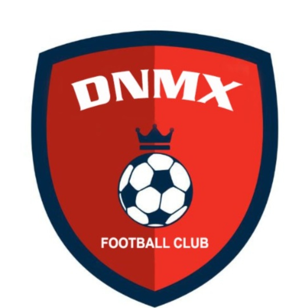 logo icon