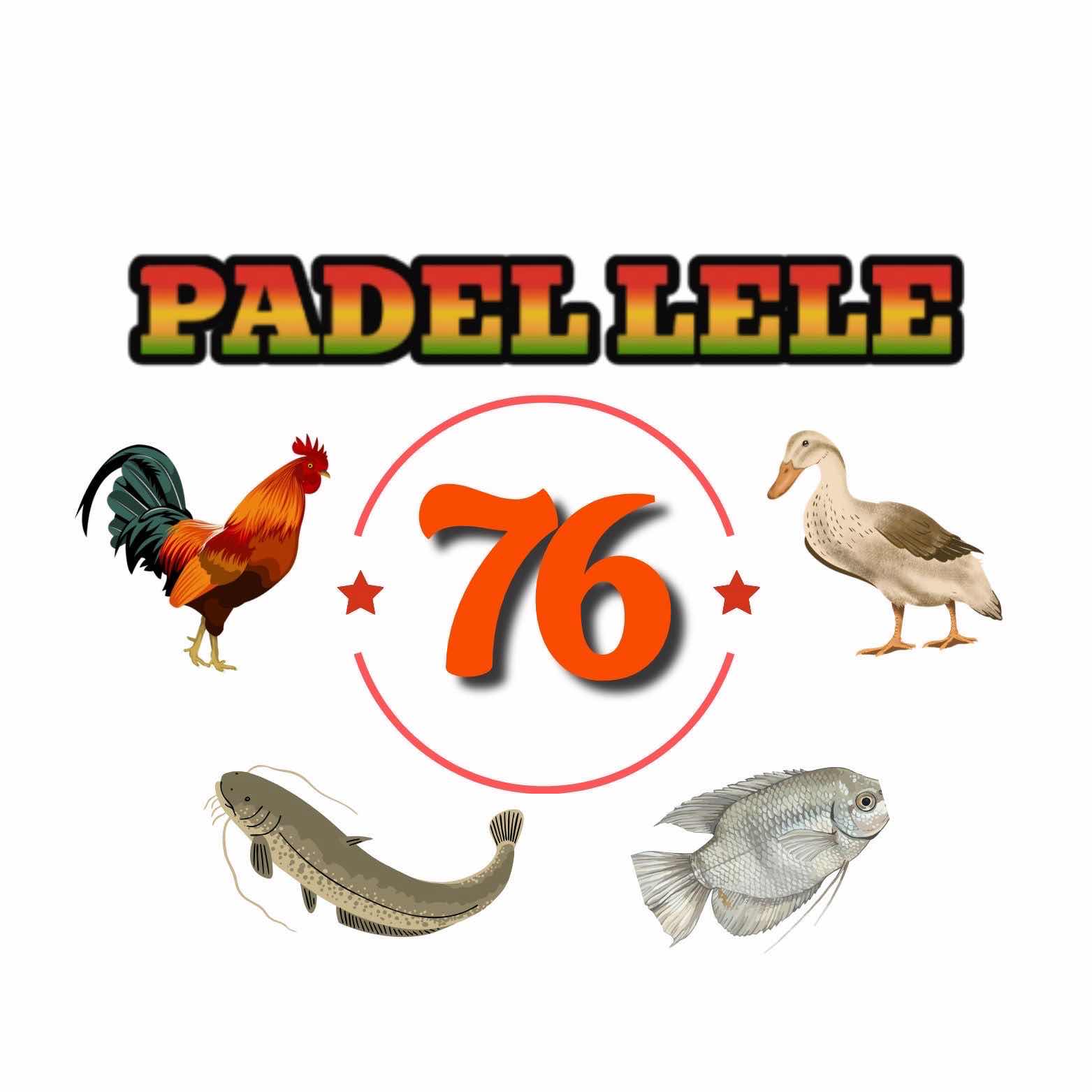PADEL LELE 76