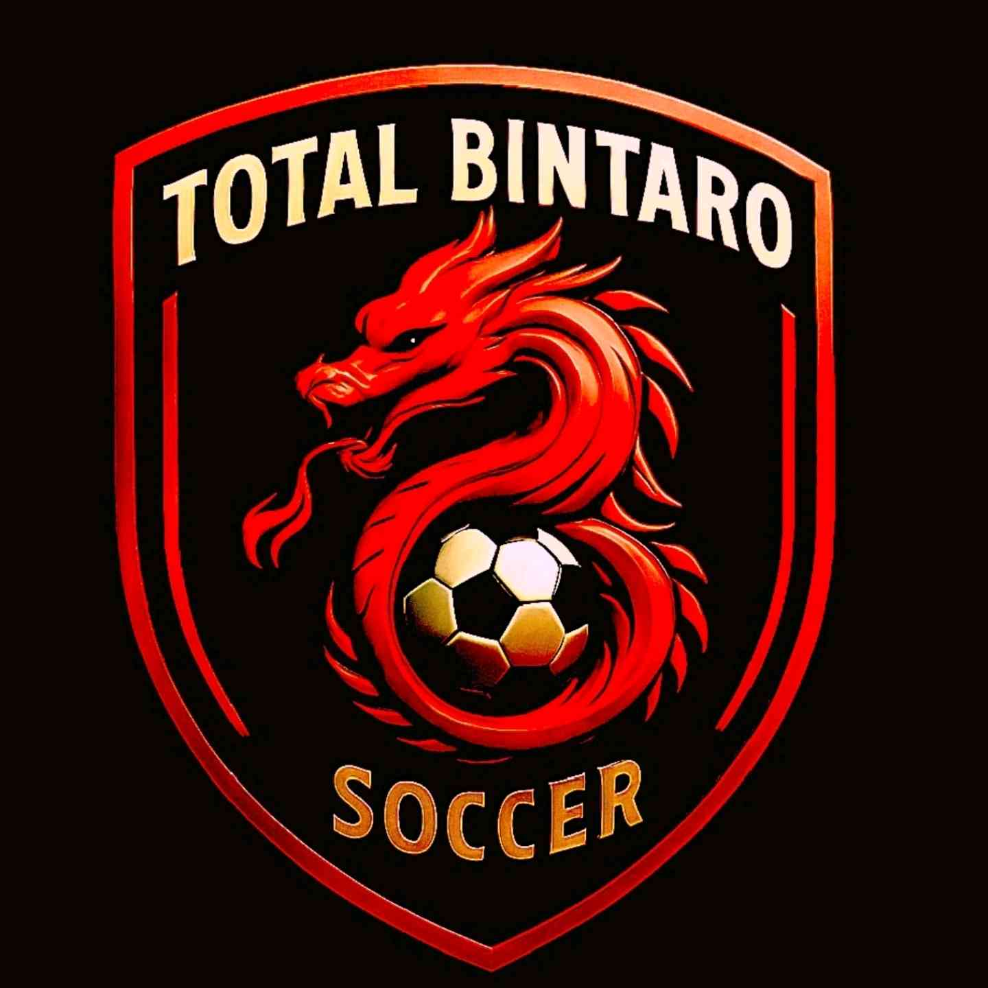 total bintaro soccer