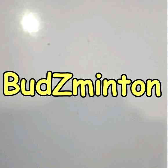 Logo BudZminton