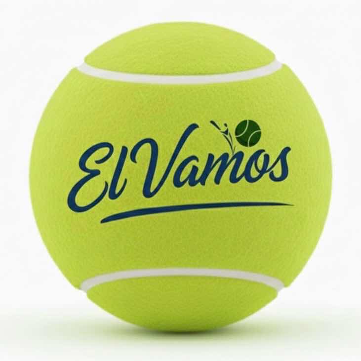 Logo EL VAMOS
