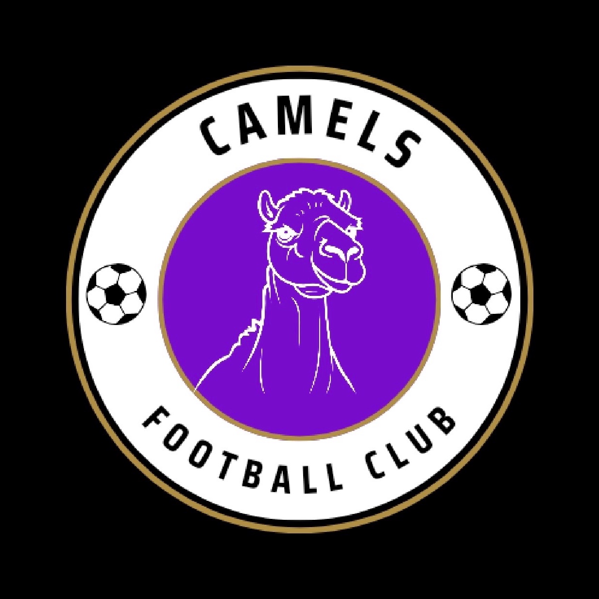 Team logo