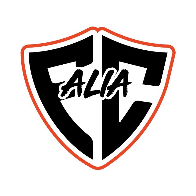 Team logo