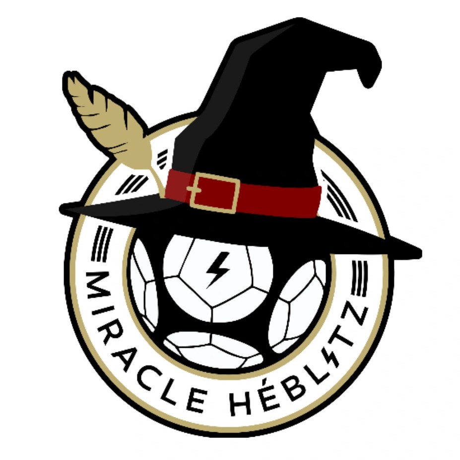 Team logo