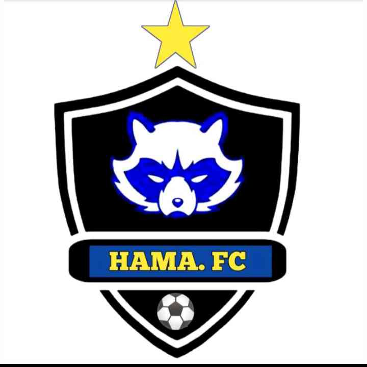hama fc