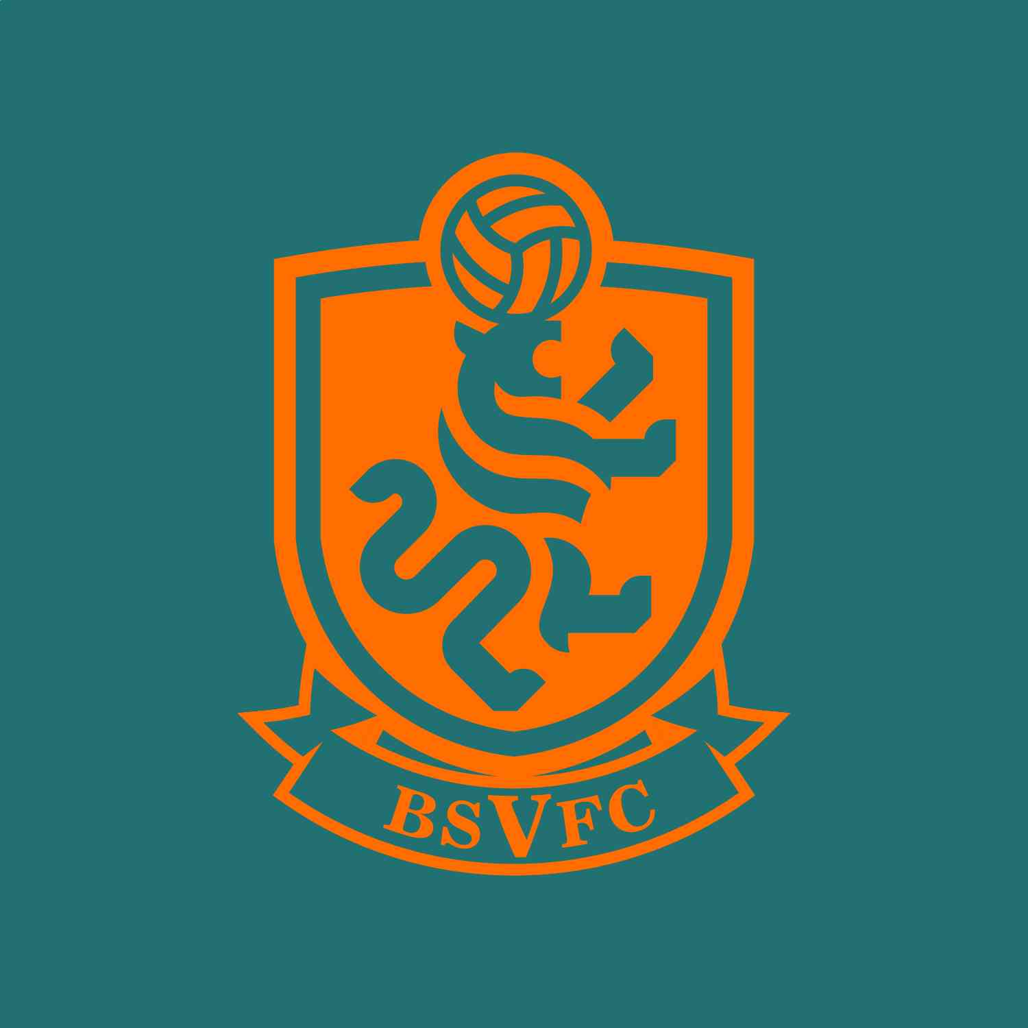 BSV FC Bandung Selatan Van Football Club