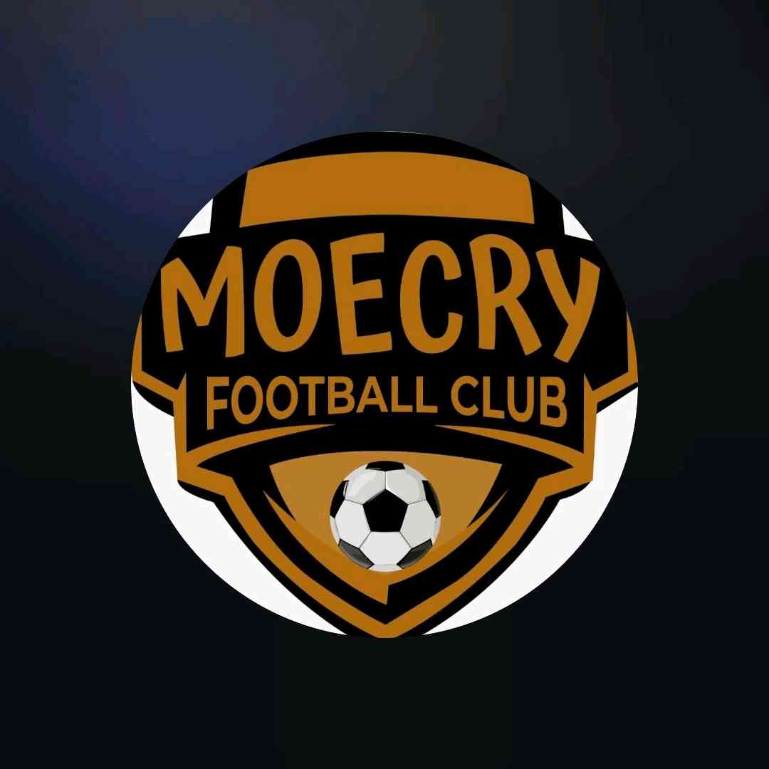 logo icon