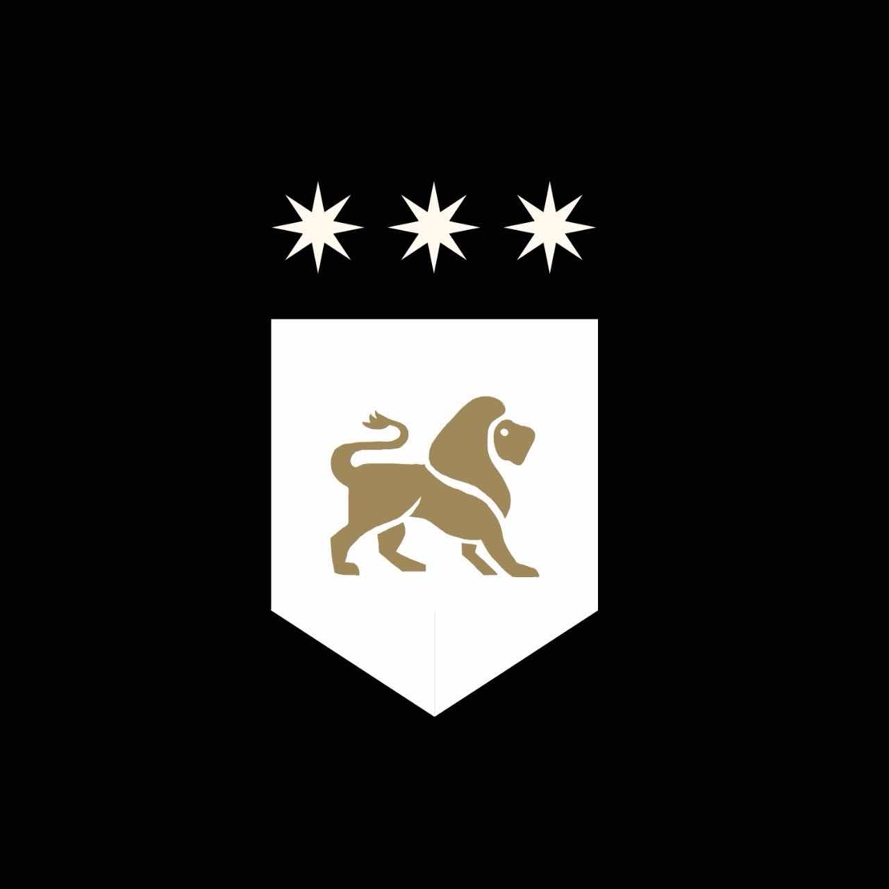 logo icon