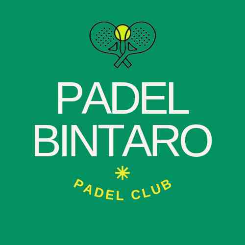 Logo Padel Bintaro