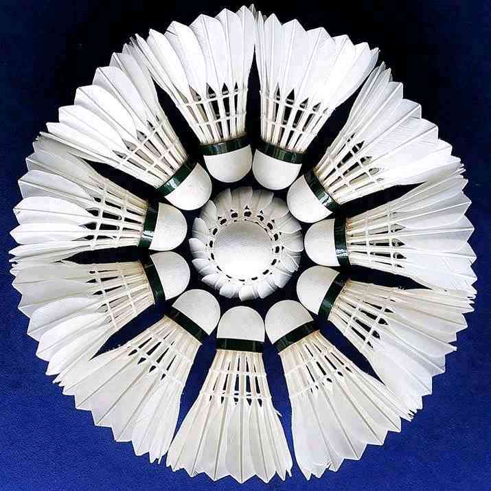 Badminton Bekasi Club - BaBe Club